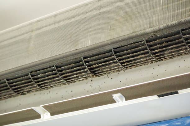 Best Residential Air Duct Cleaning  in Trussville, AL